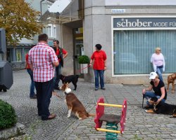 BH 2012 - Bild #17