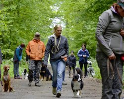 Freizeitgruppe - Bild #14