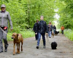 Freizeitgruppe - Bild #13