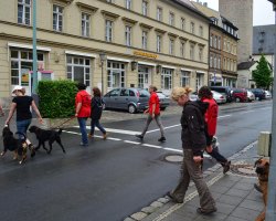 BH 2012 - Bild #19