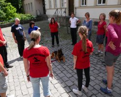 BH 2017 - Bild #23