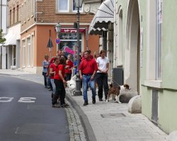 BH 2017 - Bild #20