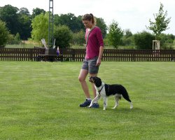 BH 2017 - Bild #11