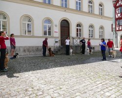 BH 2017 - Bild #24