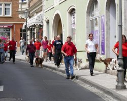 BH 2017 - Bild #21