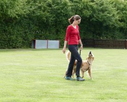 BH 2017 - Bild #17