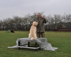 Freizeitgruppe - Bild #4