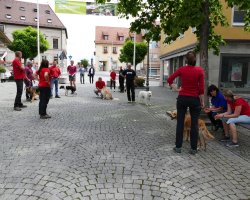BH 2017 - Bild #18