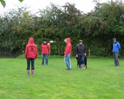 BH 2013 - Bild #11