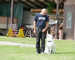 BH 2017 - Bild #6